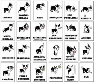 FB_IMG_1557523022846